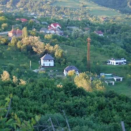 Cottage Poe Poienari Dış mekan fotoğraf