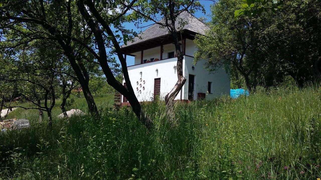 Cottage Poe Poienari Dış mekan fotoğraf