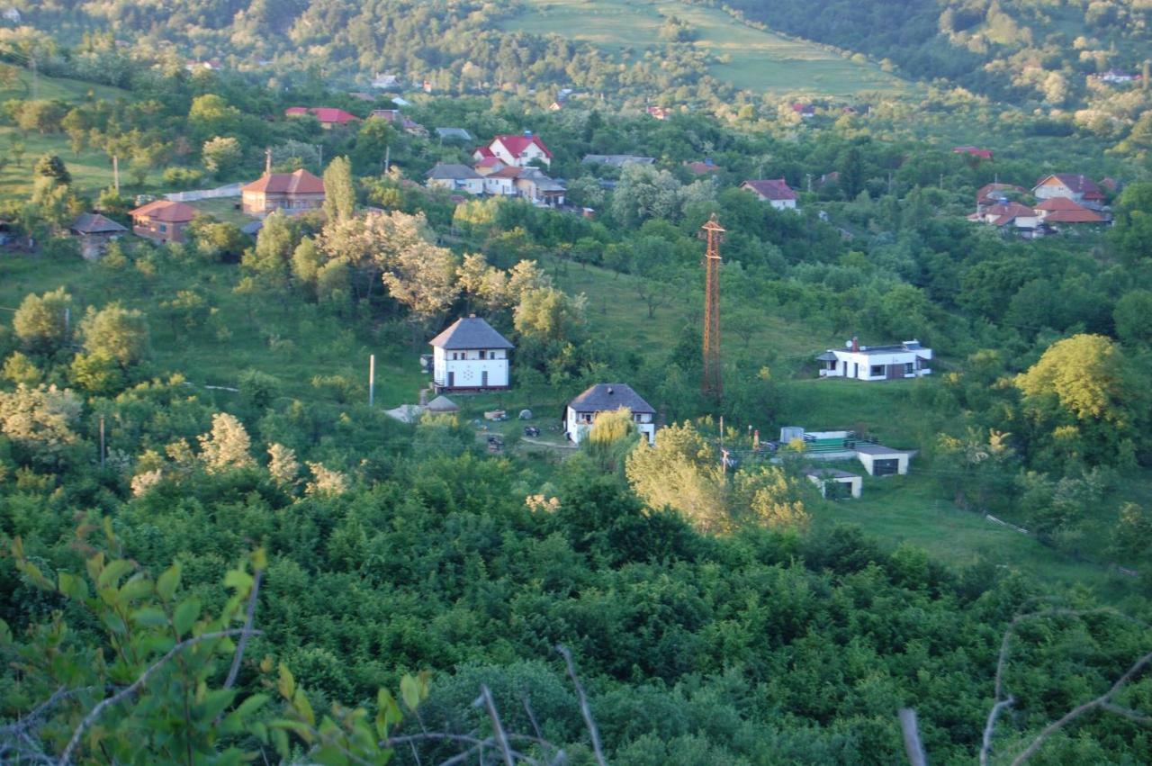 Cottage Poe Poienari Dış mekan fotoğraf