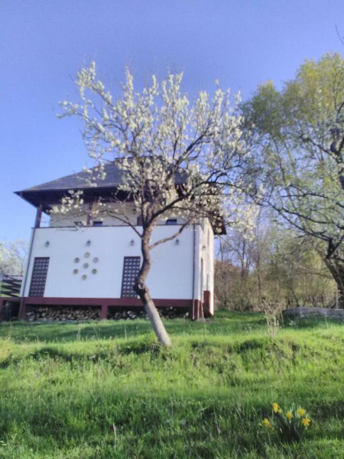 Cottage Poe Poienari Dış mekan fotoğraf
